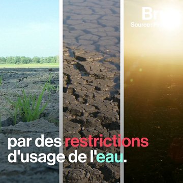 Sécheresse en France : bientôt la norme ?