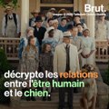 Les relations entre hommes et chiens décryptées