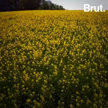 Quand les agriculteurs produisent des énergies renouvelables