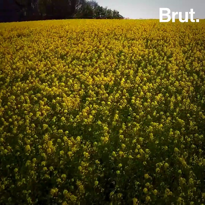 Quand les agriculteurs produisent des énergies renouvelables