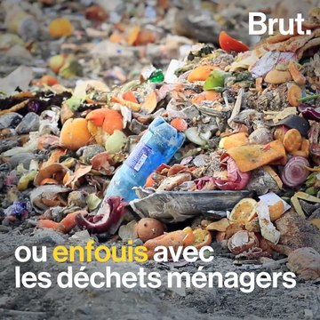 3 façons de recycler ses biodéchets