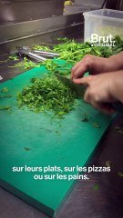 Ils préparent à manger pour les plus démunis avec des invendus alimentaires