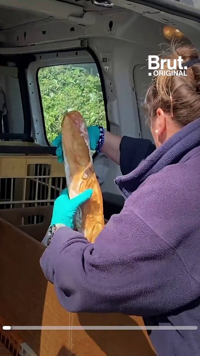 Cécile et José, porteuse de pain et boucher, continuent leur service malgré le confinement