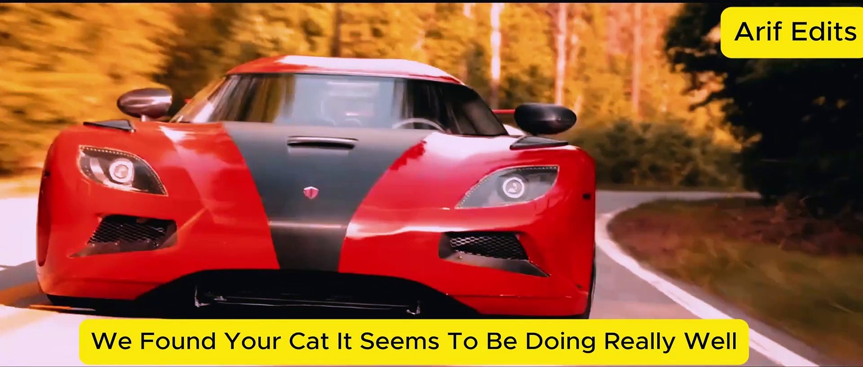 Found Your Cat Prank Call