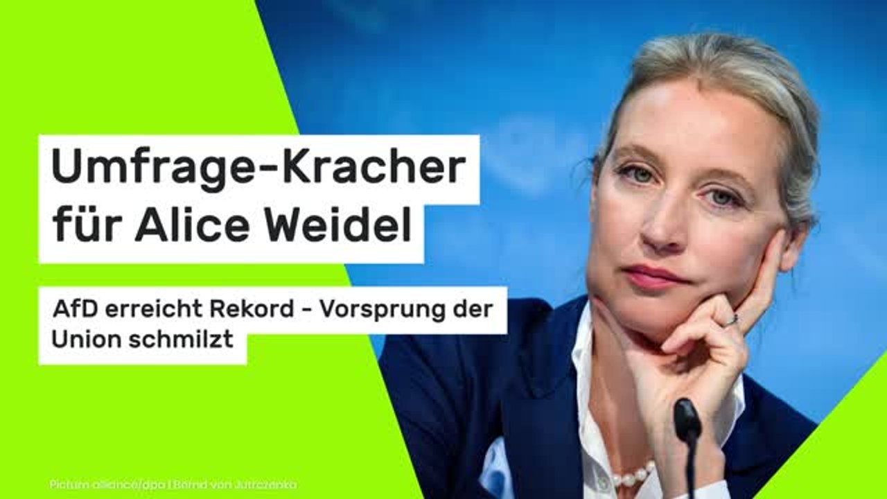 Umfrage-Kracher für Alice Weidel: AfD erreicht Rekord - Vorsprung der Union schmilzt