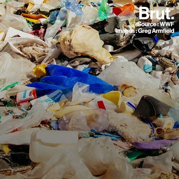Rapport WWF : comment sortir de la crise du plastique