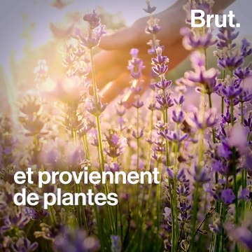 Horace, des cosmétiques plus naturels et accessibles