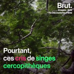 Paroles d'animaux avec Arte 2/2