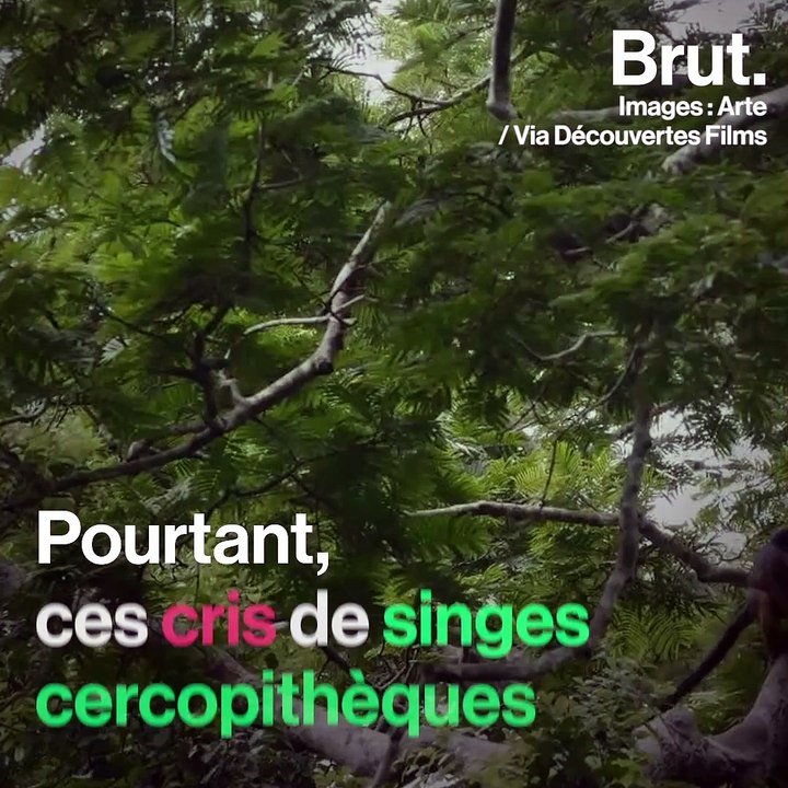 Paroles d'animaux avec Arte 2/2