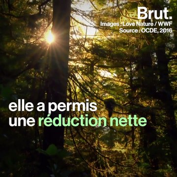 Si je payais des taxes écologiques dans ces pays...