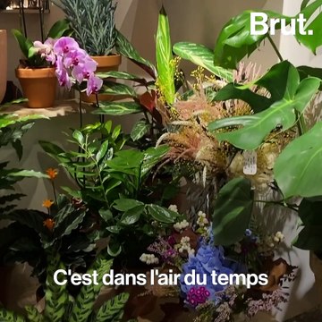 Fleurs d'Ici, des fleurs de saison et produites en France