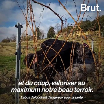 Vigneron dans la région du Rhône, Denis s'est converti à l'agriculture biologique