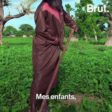 Au Sénégal, ces kits solaires apportent l'électricité aux villages isolés