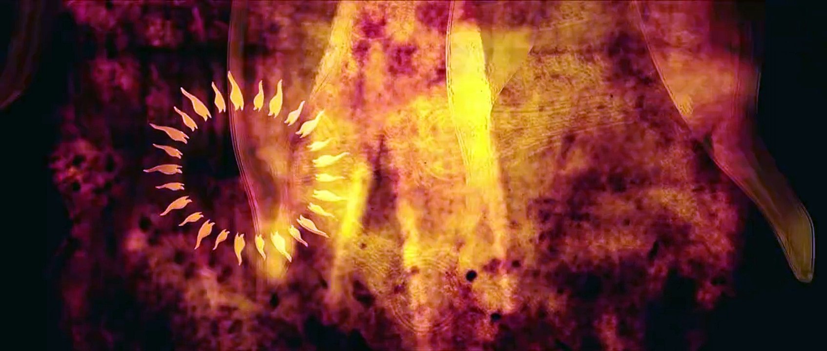 Jigra [2024] Hindi Movie Part 1/2