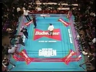 Roy Jones Jr vs Merqui Sosa - HBO 1-12-96
