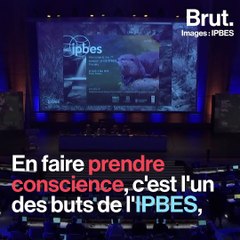 L'IPBES, un sommet sur la biodiversité à Paris