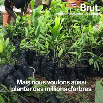 Sierra Leone : la maire de Freetown s'engage contre le réchauffement climatique