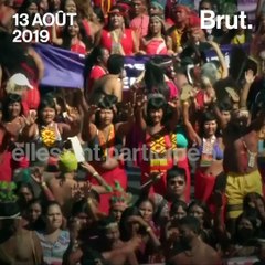 Les femmes Waorani et A'i Cofán se battent pour protéger la forêt amazonienne