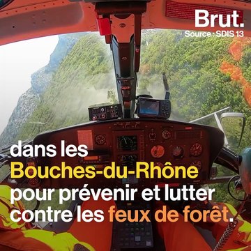 Feux de forêt : comment les pompiers des Bouches-du-Rhône s'organisent
