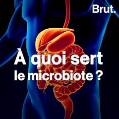 C'est quoi le microbiote ?