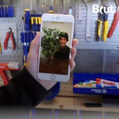 Planter 20 millions d'arbres : le défi fou de 600 youtubeurs