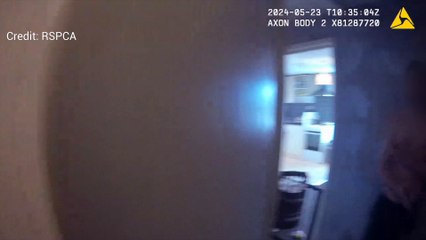 Unbelievable Footage of Caesar Discovered in Medway 🏛️