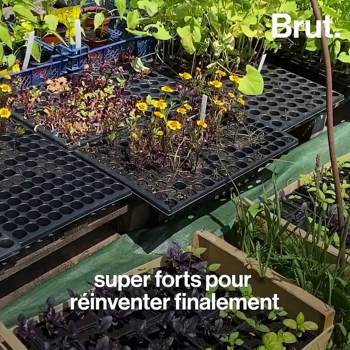 L'oasis du Keruzerh, un petit village breton tourné vers l'avenir