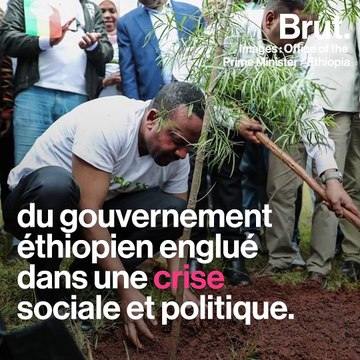 Éthiopie : 353 millions d'arbres plantés en 12 heures