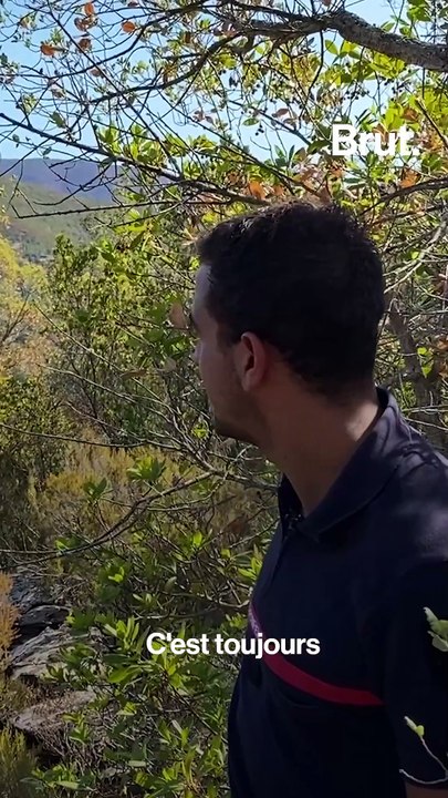 Chaque année, 34km² de terres partent en fumée en Corse