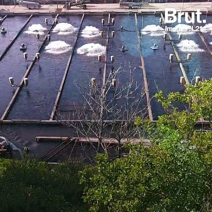 Dans les coulisses de l'aquaculture française