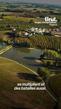 La guerre de l'eau entre agriculteurs et défenseurs de l'environnement