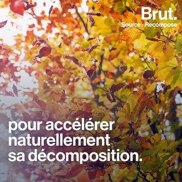 Être transformé en engrais après sa mort, c'est possible
