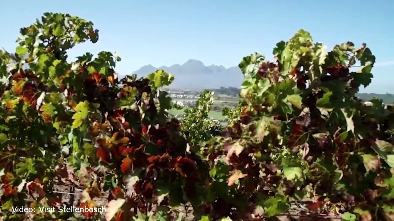 Ein paar Reisetipps aus Stellenbosch in Südafrika