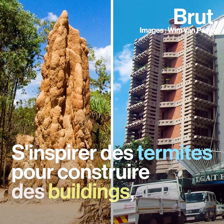 C'est quoi le biomimétisme
