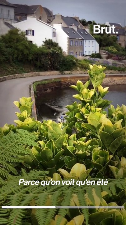 Comment gère-t-on l'épidémie de Covid-19 à Ouessant ?