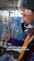 À bord du Tara, la mission scientifique qui étudie le peuple invisible de l'Océan