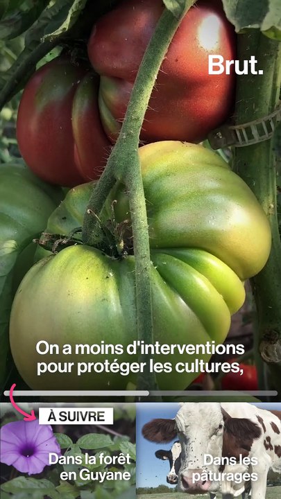 Les paysans français s'investissent pour la planète