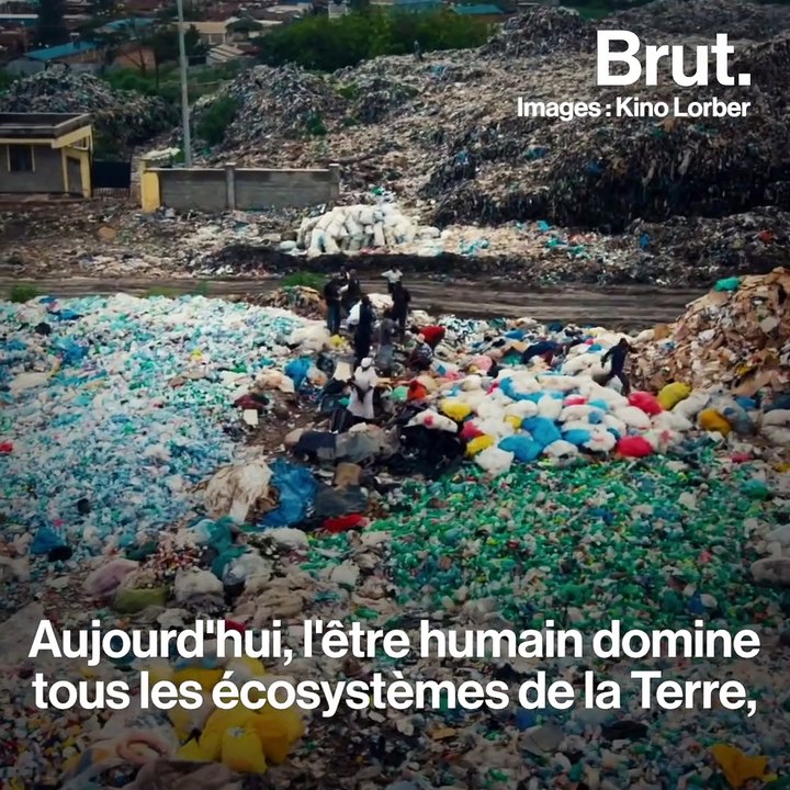 Comment l'être humain a façonné la planète