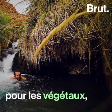 Le désert d'Atacama, plus vieux désert au monde