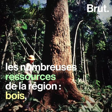 La Mata Atlântica : l'autre forêt menacée du Brésil