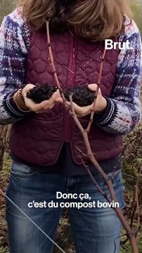 Cuvée Privée permet d'adopter son propre pied de vigne