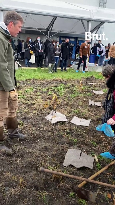 En Auvergne, ces agents de La Poste créent une micro forêt urbaine