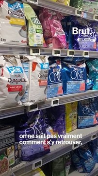 Petty Well veut changer la manière de nourrir les animaux de compagnie