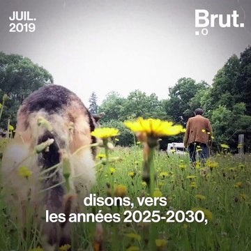 Yves Cochet : de l'effondrement à la pandémie de Covid-19