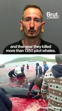 Interview with Laurent Buckley on Sea Shepherd's action