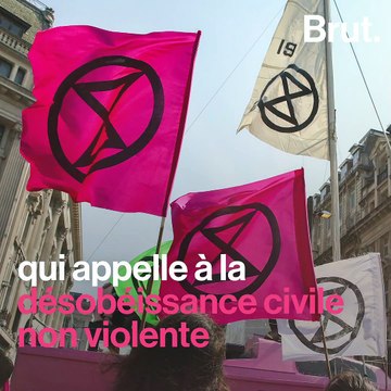Face à l'urgence climatique, elle entre en grève des naissances