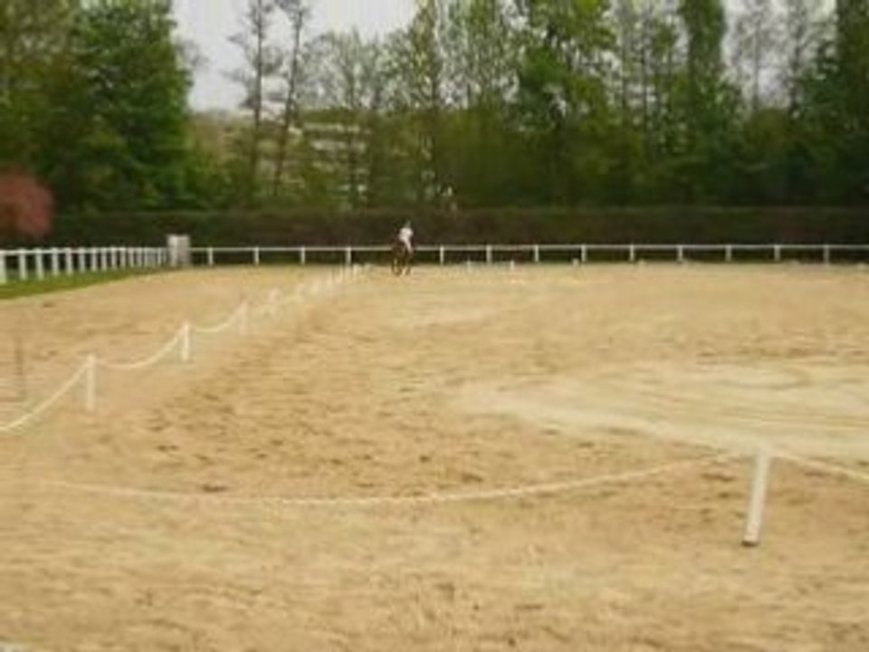 Dressage Momo kiki