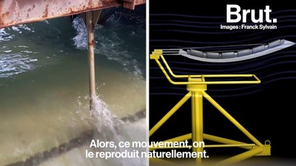 Ils développent une hydrolienne inspirée par le mouvement des poissons