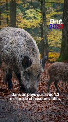 La chasse : qui dit quoi ?