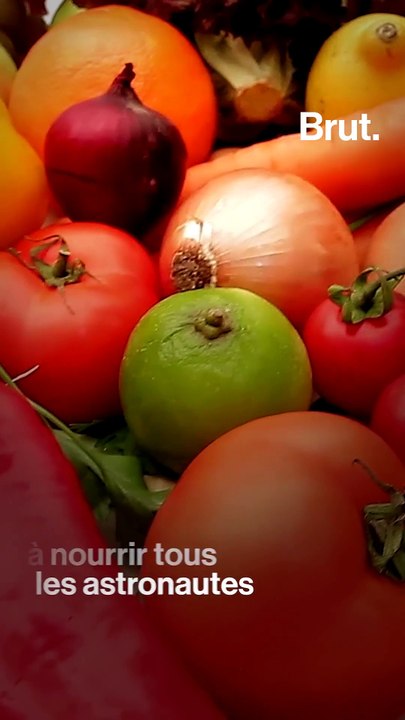 5 choses que l'on pourrait manger sur Mars